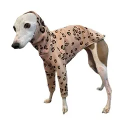 レオパード柄　裏起毛トレーナー　イタグレ 韓国生地