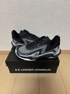 Item thumbnail for item bafcb789-eeb7-426a-bee8-8cc62a26220e