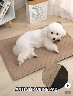 Item thumbnail for item e8e5d797-fb14-498e-9855-581bdf925231