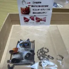 Item thumbnail for item 0456ddd8-2063-4ee3-af55-3e3ed6efb1da