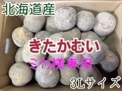 【♡ミカ♡様専用】北海道産じゃがいも（きたかむい）　3Lサイズ10kg