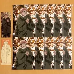 呪術廻戦 マルキューブ ブロマイド 特典 虎杖悠仁 12点セット