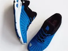 THE NORTH FACE/AMPEZZO RUNNING SHOEスニーカーのサムネイル