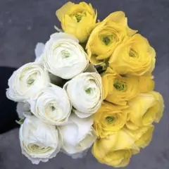 花のある暮らし⚘ショコラ~様 リクエスト 2点 まとめ商品