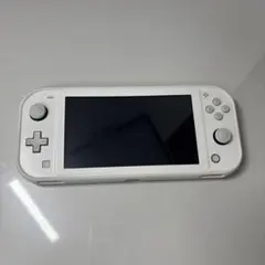 2026年最新】Nintendo Switch 本体(Nintendo Switch Lite)の人気