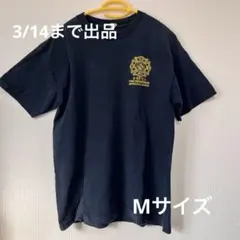 Item thumbnail for item b597f659-f8d9-4a4e-b6d5-9fda99190089