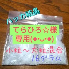 【てらひろ☆様】専用です(*^^*)