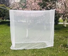 Item thumbnail for item d36e6c42-dd1e-4ccd-b5bf-b79401a08e9d