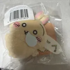 ちいかわ　うさぎだらけくじＥ賞 ぬいぐるみバッジ　(ぐー)