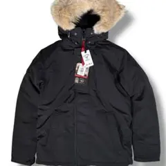 Item thumbnail for item 900b6d53-18ed-42d7-bc2f-1fe8d29d6b65