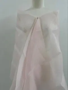 Item thumbnail for item 8f1d329b-9dd3-40f2-b069-f7ee48085738