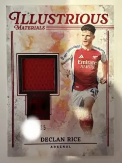 25シリ 一桁 マグホ付 デクラン・ライス インサート panini ユニ