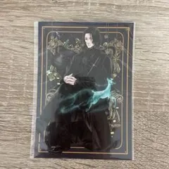 ハリーポッター アニメイトポストカード セブルス・スネイプ