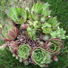 あやの様 リクエスト 4点 まとめ商品