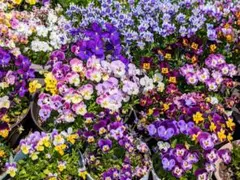 ベルカ様 リクエスト 2点 まとめ商品