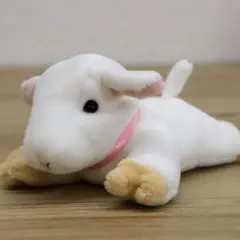 テイクオフ ぽけぷにヤギメス