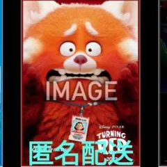 新品 布製ポスター 未開封 ハッピーくじ 私ときどきレッサーパンダ ピクサー