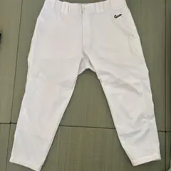 Item thumbnail for item fe6aeece-1499-47a6-a4ee-9f893c93a28d