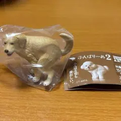 ふんばりーぬ