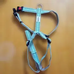 Item thumbnail for item c0e71c04-02eb-44eb-942d-8bf79e049c51