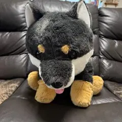 くったり柴犬 元気いっぱい くろりん JB - メルカリ