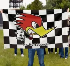 バナー タペストリー ルーニーテューンズ ロードランナー アメリカン 