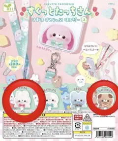 【新品】すくっとたっちさん✧ちゃいなたうん / すとろべりぃ 12種セット 12月 新アイテムのおしらせ♡ 『すくっとたっちさん7～すいーつ