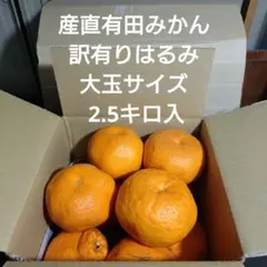 産直有田みかん 訳有りはるみ大小玉 2.5キロ入 24-5
