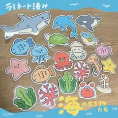海の生き物たち　ラミネート済み　保育教材