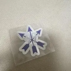 サンフレッチェ広島 プレイヤーズミラーステッカー99