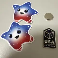 2025年最新】アメリカ館ピンバッジの人気アイテム - メルカリ