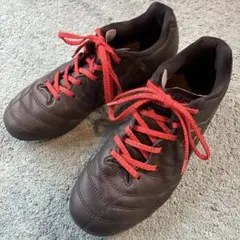 ASICS DS LIGHT 22.5cm