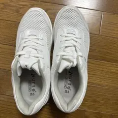 Item thumbnail for item b043a754-2127-4dc3-80ad-aa8ba9a5602d