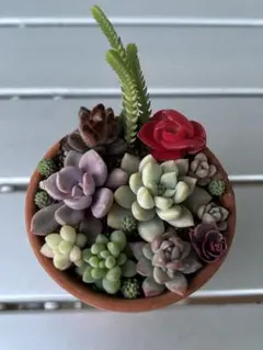 茅屋様 リクエスト 3点 まとめ商品