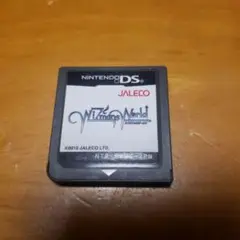 DS　WiZmans World(ワイズマンワールド)　ソフトのみ