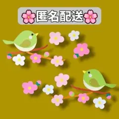 うぐいす✨️梅　春　壁面飾り　2月　3月　保育園　施設　病院　掲示板