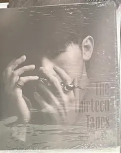 Ruby フォトブック ウジ ソロ seventeen woozi TTT