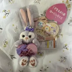 ステラルー♡コスチューム♡ぬいば♡バレンタインハート Amazon.co.jp: ステラルー ぬいぐるみストラップ ダッフィー