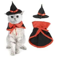 Item thumbnail for item 67128366-1ff0-471f-83c5-db367403a01c