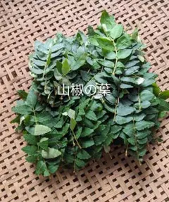農薬不使用山椒の葉70枚のサムネイル