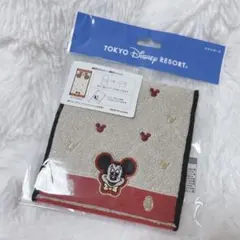東京ディズニーリゾート　タオルポーチ　ミッキー　ミッキーマウス　ミニタオル