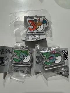 ポケモン　30周年　ガチャ　メタルチャームマスコット　3種セット