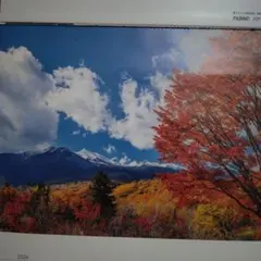 専用商品