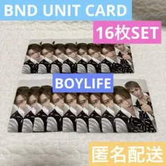 BOYLIFE ボーイライフ ボネクド ユニット リウ テサン