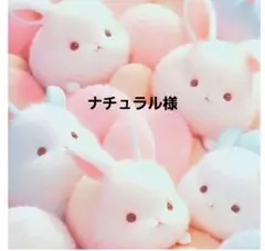 ナチュラル様 確認