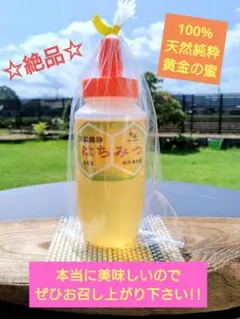 【絶品はちみつ】黄金の百花蜜300g〈2026年6月採取〉のサムネイル
