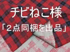 「2点同梱を出品」