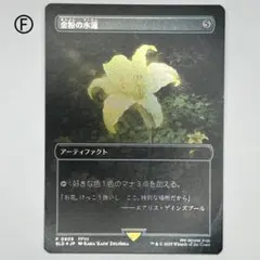 2025年最新】金粉の水蓮の人気アイテム - メルカリ
