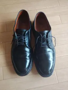 Alden 9901 US8.5 コードバン オールデン プレーントゥ ブラックのサムネイル
