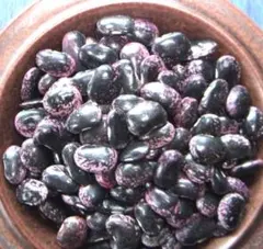 うまこ様専用　高級菜豆　赤花豆７００g　白花豆４００g令和７年産/北海道